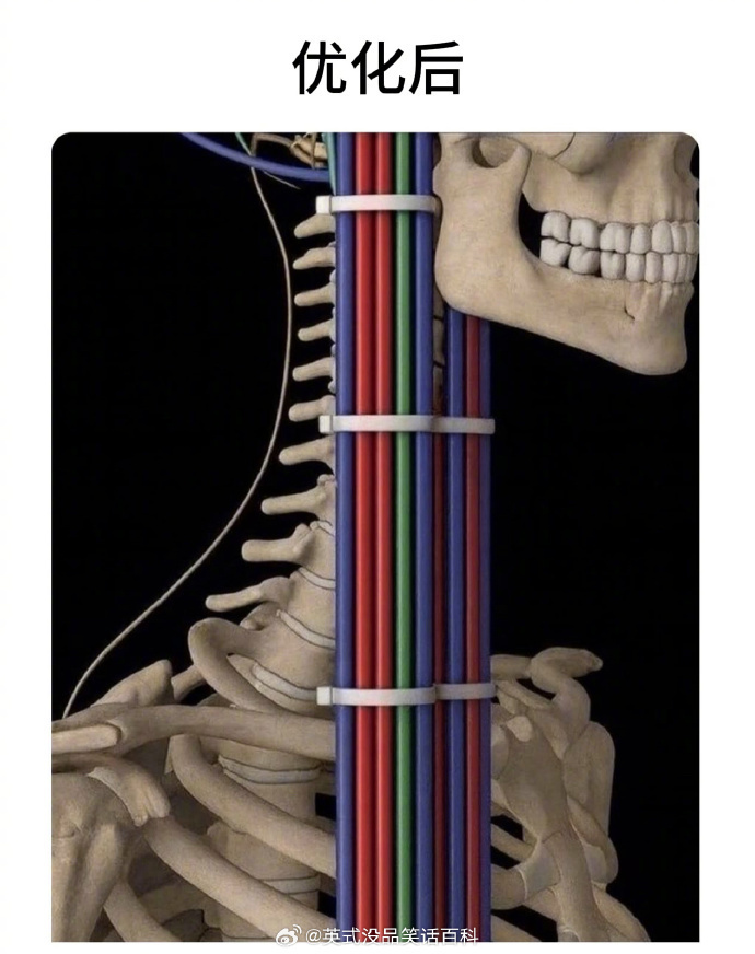 46721e7f.jpg