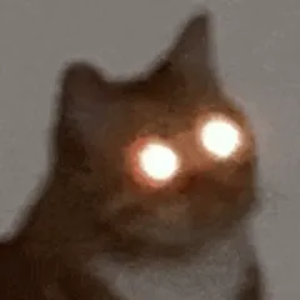 1684276756.png