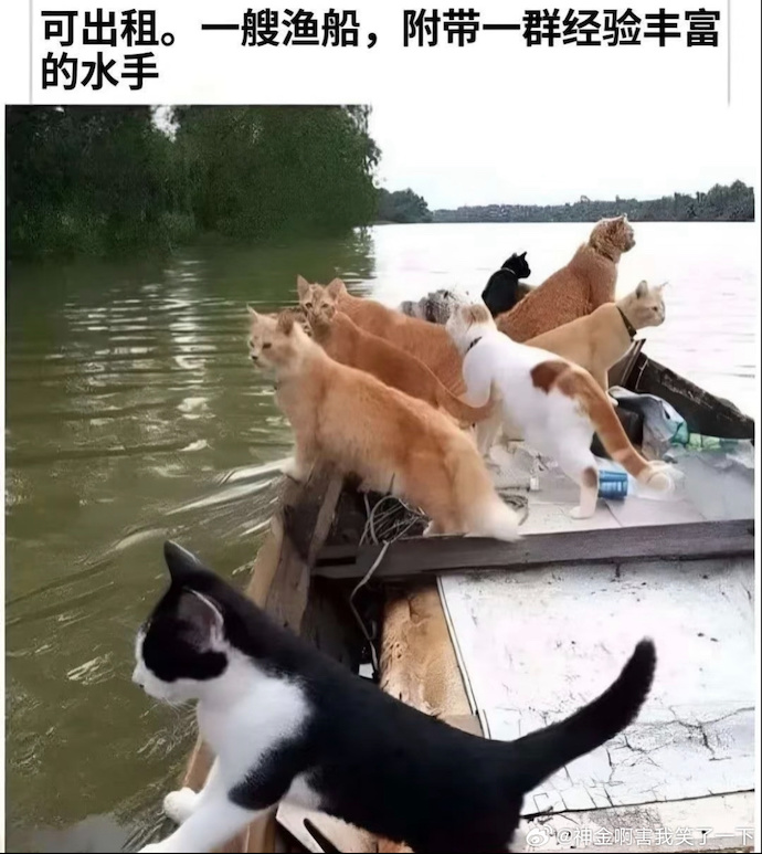 008f0Tuwgy1i6ak3pf8skj30xi11jqdj.jpg