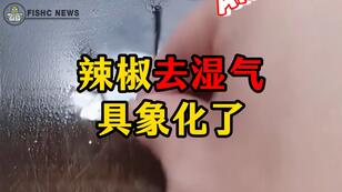 aaf2f1ba62ac1e066d1fbf21dbc7378cb8fe1b20.jpg