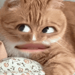 һת.gif