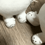 Ƚ.gif
