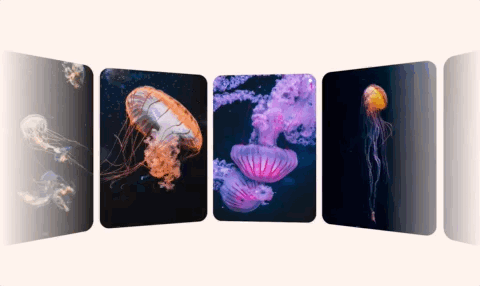 Jan-29-2026 20-29-05.gif