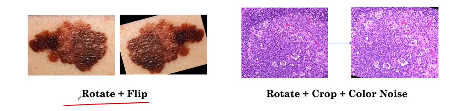 ���� (66).png