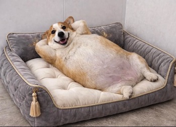 �ҵı�����ϼ�_1_�����˰����_����С������ҳ�� (1).jpg