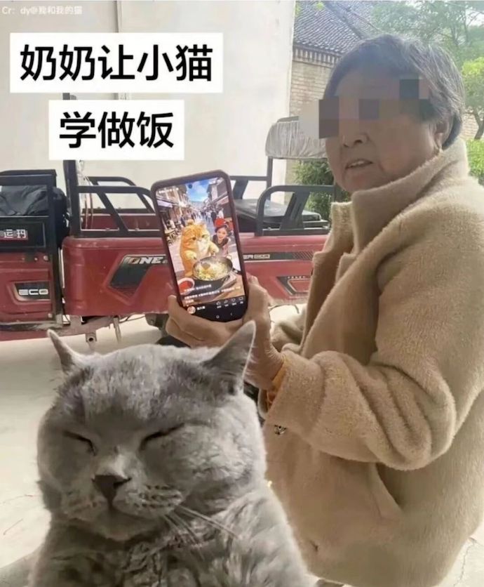 2083455323.jpg