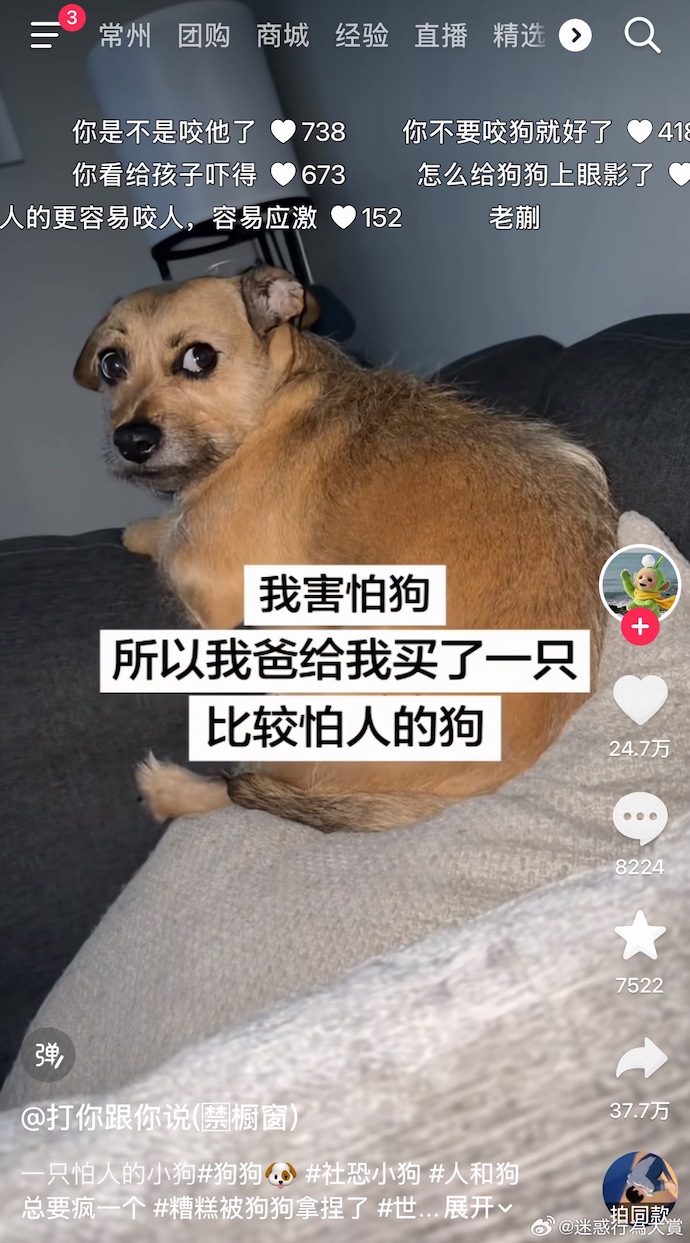 0066CcwRgy1ic2gy3kmgbj30xi1odk3r.jpg