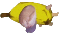 67e1665c4b579hA5.gif