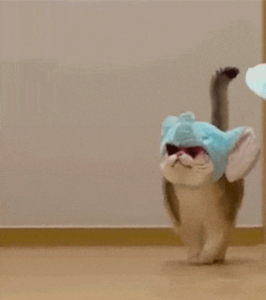 ����.gif