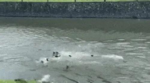 72e5b2298545622c7c2e36d1513a7bb3.jpg