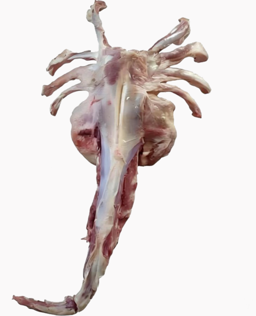 feb396577e811f2a9eba11d3c2715a99.png