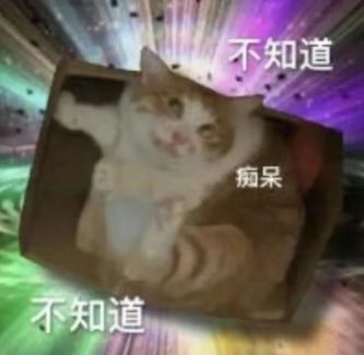 1008431935.jpg
