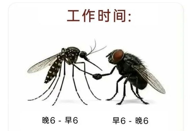 71.jpg