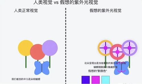 15ee41d7e44b446b6da3035b9298ed6c.png