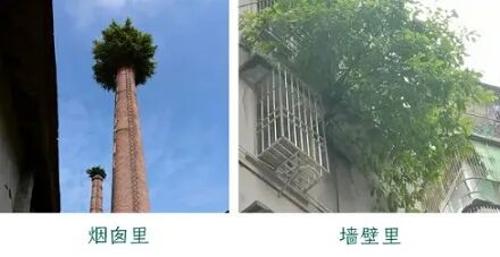 46c5fd990de85b8002665cd2c0f1ff23.jpg