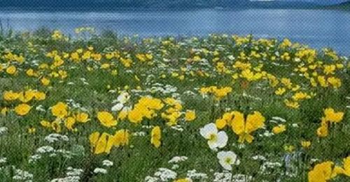 c93b966b12c5bfcb43b85b82748f7565.jpg