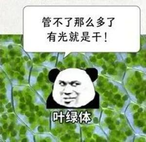 ade8b6a67fd34aa15c1dcd5080a6211b.jpg