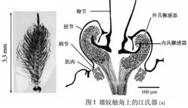 f195615ca88f11049c7793e8fdbeb99.jpg