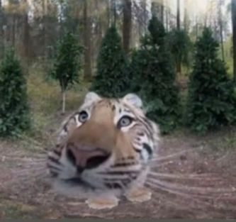 �ϻ�.jpg