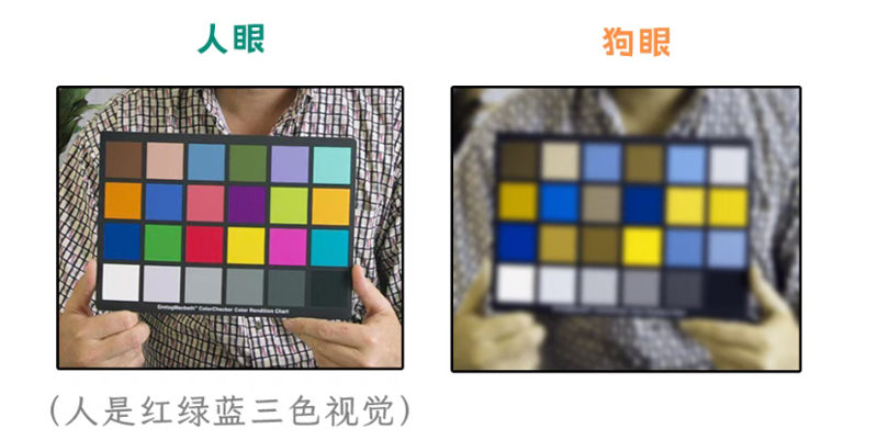 815df187adca1592f9028d56f0b70d55.png
