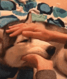 764b18c29ed54f93835517512774abdb.gif