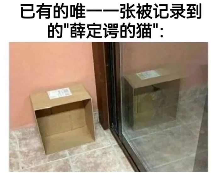 ÿ�չ�ͼ 2.jpg