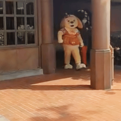 ��C������_20251226_145802.gif