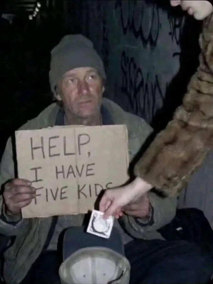006WuOsAgy1igcse6rvqwj30k00qnta8.jpg