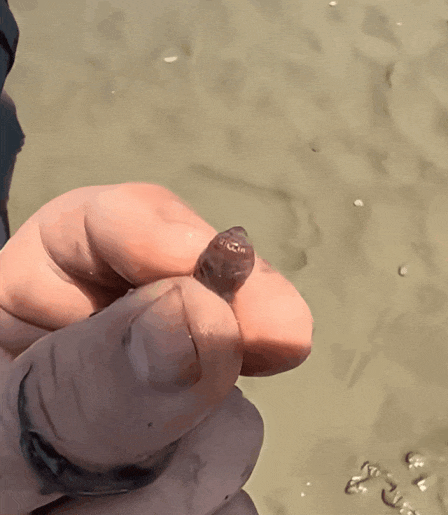 640 (4).gif