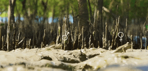 640 (5).gif