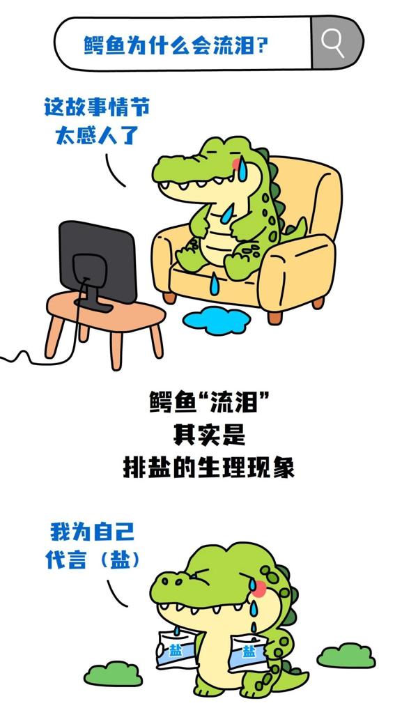 c777dc1ba8dc471a3bb7f19eb7e0ef3f.jpg