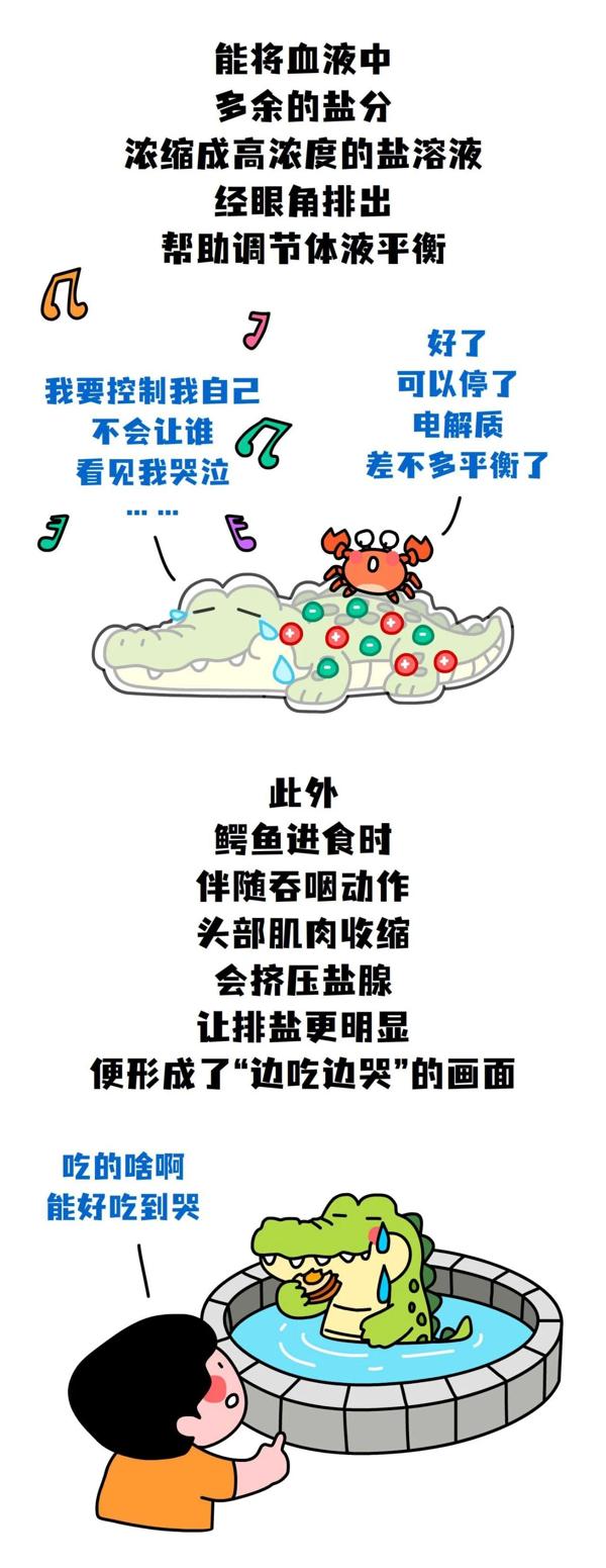 e06d262acb0fba3cab70a3e21cf7d14a.jpg