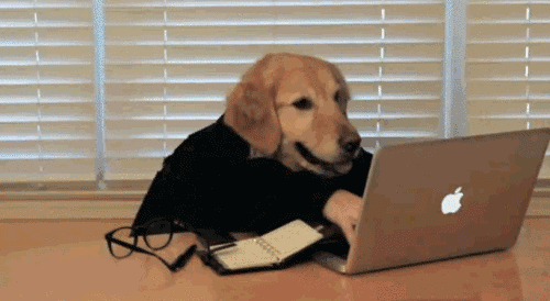 f5de42439e3da6d8797bcd76882709a0.gif