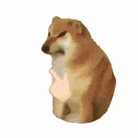 ����.gif