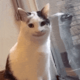 ΧЦ0.gif