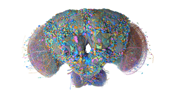 3d83a43e85d6f21c4eb040b1f31b37ed.png