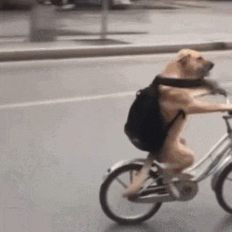 ���ﵥ��1.gif