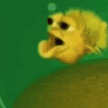 ������.gif