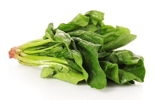 7f0f58f12d4822e2ce8a4beff5945a25.jpg