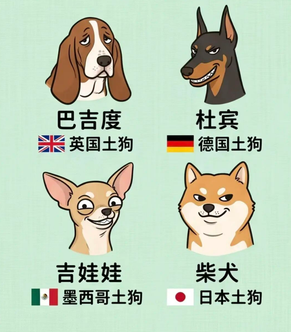 c6f381f734cbea31113ba4fb86ddaadb.png
