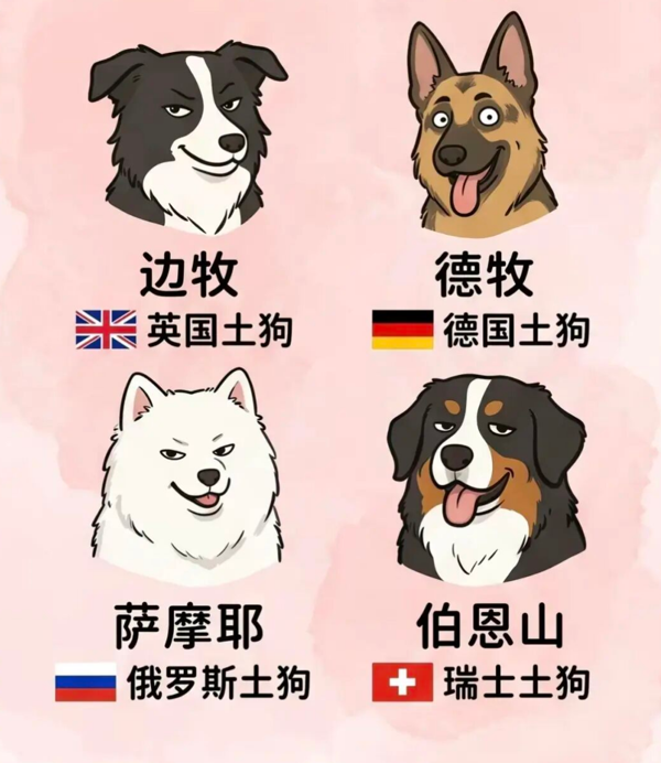 e4f0e6fa0104d3593d6f590154e18cd2.png
