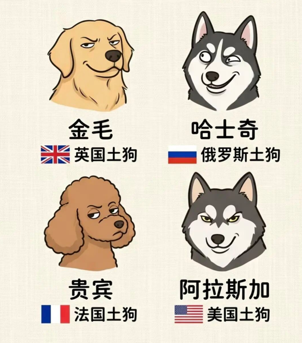 ef39245622fc40ff011524b9fdbd062a.png