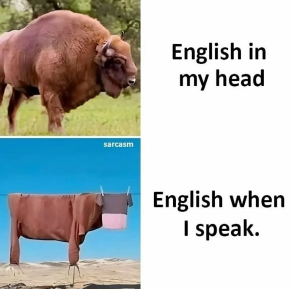 437ba1f1b39eded351c6f47d4e49e882.png