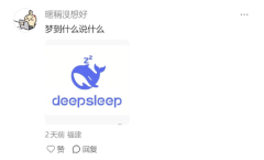  | DeepseekҰС