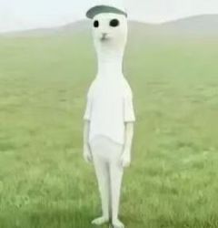 ɳ���İ� | �������û�  ������һ��