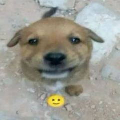 ɳ���İ� | Ů�������˰���һ�������20�������