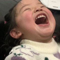 �������� | �����Ϲ롫��������