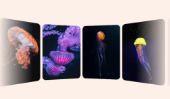 425-��CSSʵ�ֶ�̬3Dչʾ��Ƭ