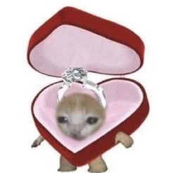 ɳ���İ� | ����¹����ã����ҵ�������ʧȥվ�ˡ�