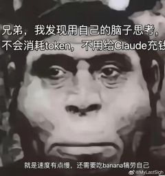 �������� | �Ҳ����ܲõ�ԭ��